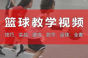 篮球训练视频教学基础教程全集